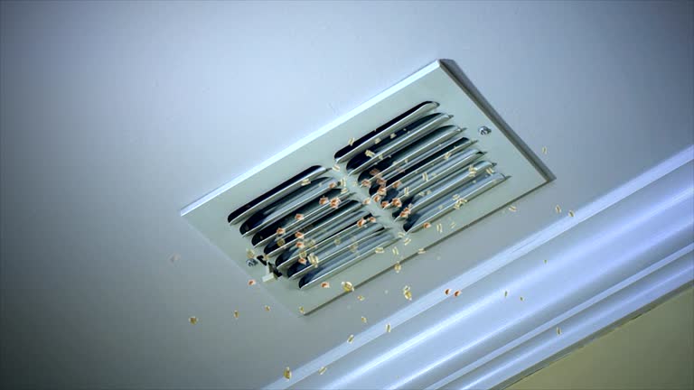 Best Affordable Duct Cleaning Services  in Garden City, SC
