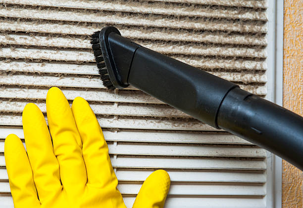 Air Duct Mold Removal in Garden City, SC